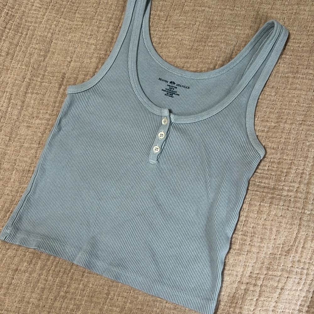 Brandy Melville light blue crop top